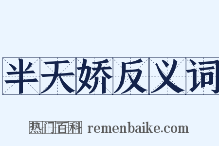 半天娇反义词是什么意思的图片